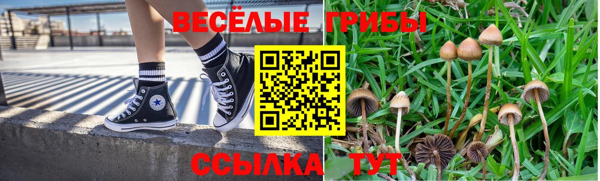 Псилоцибиновые грибы ЛСД Махачкала