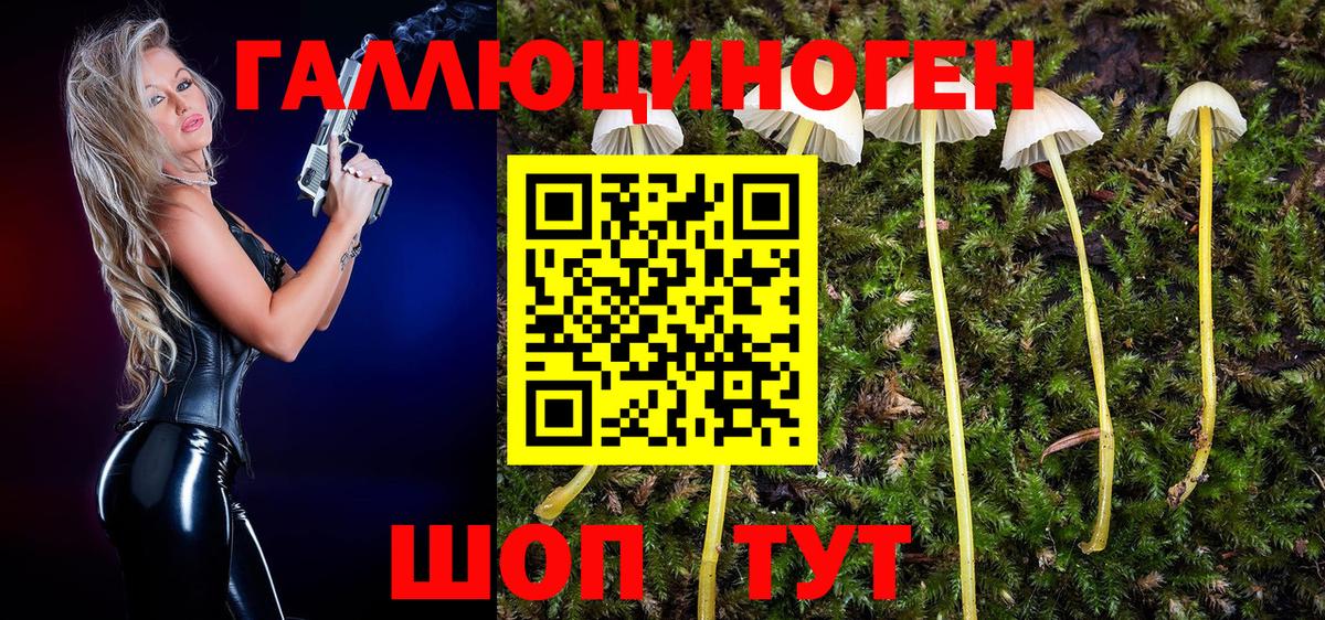 Псилоцибиновые грибы ЛСД  Вход с VPN  Махачкала 